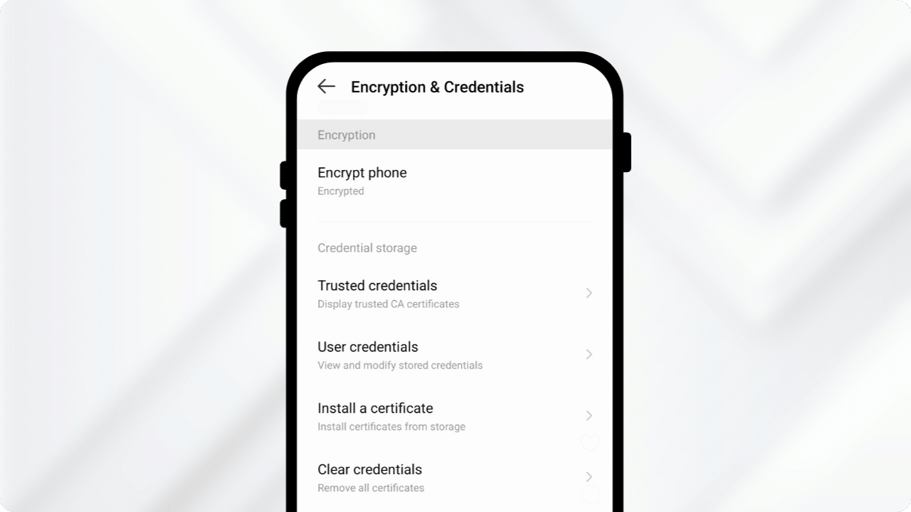 Encrypt Device in mobile image